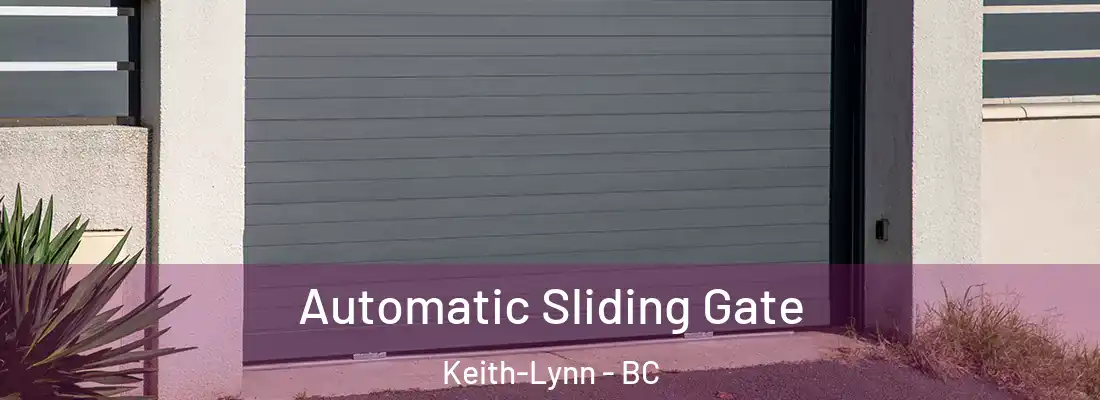  Automatic Sliding Gate Keith-Lynn - BC