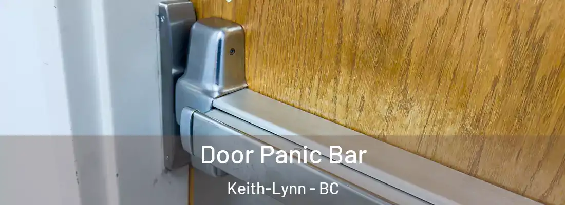  Door Panic Bar Keith-Lynn - BC
